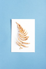 Empty card with dried fern on blue background. Top view.