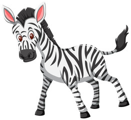 Obraz na płótnie Canvas Cute zebra white background