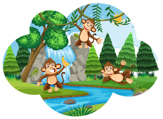 Obraz na płótnie Canvas Cheeky monkeys in woods