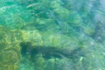 Green underwater background 