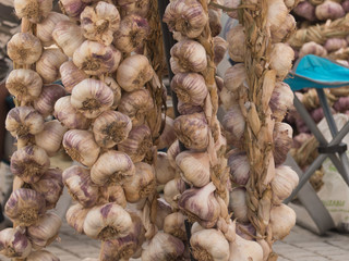 GARLIC EXPOSED FOR SALE