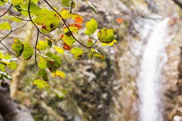 Autumn waterfall with rocks and leaves in Troodos mountains in Cyprus