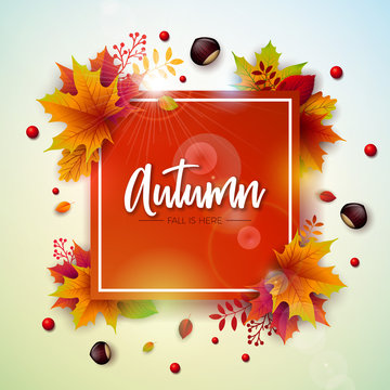 Autumn Illustration with Colorful Falling Leaves, Chestnut and Lettering on White Background. Autumnal Vector Design for Greeting Card, Banner, Flyer, Invitation, Brochure or Promotional Poster.