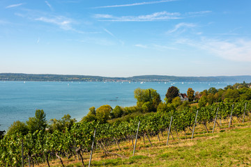 View of wonderful the Lake Constance from a vineyard by Birnau in front of bright blue sky