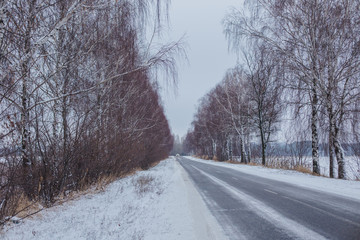 Snow-covered road with birches without foliage. Car on a slippery road. rolled track on first snow. Danger of drifts.
