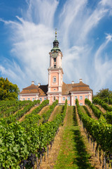 Beautiful view of the pilgrimage church in Birnau at Lake Constance with the vines in the foreground with a spectacular sky and clouds