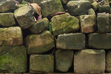 Background of algae on old big stone wall