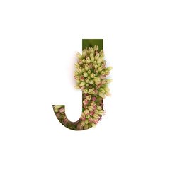 Cut out letter J with growing plant inside. Part of the alphabet.