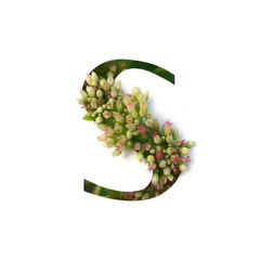 Cut out letter S with growing plant inside. Part of the alphabet.