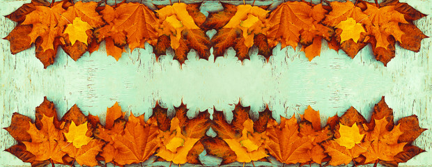 Maple Leafs Panoramic Banner with Copy space Top View. Orange,yellow and red leaves on wintage texture table. Autumn season wallpaper