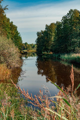 Autumn river