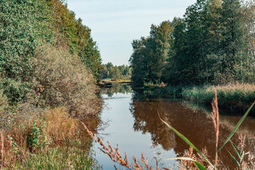 Autumn river