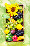 Beautiful autumn harvest