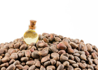 pine nut and oil