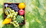Beautiful autumn harvest