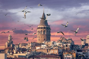 Papier Peint photo Monument historique Tour de Galata à Istanbul Turquie avec des mouettes au premier plan