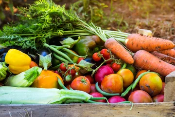 Papier Peint photo Légumes Légumes biologiques du jardin potager - carottes, tomates, poivrons, courgettes et aubergines dans une boîte en bois parmi les verts. Concept d& 39 aliments sains crus. Fermer