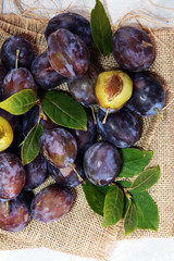 Fototapeta premium Plums on rustic background. Half of blue plum fruit. Many beautiful plums with leaves