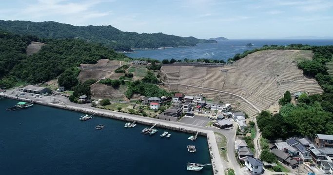 遊子水荷浦の段畑（愛媛県宇和島市）