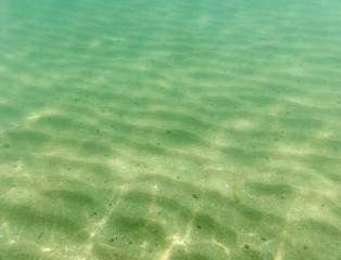 seabed, underwater photography
