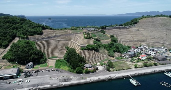 遊子水荷浦の段畑（愛媛県宇和島市）