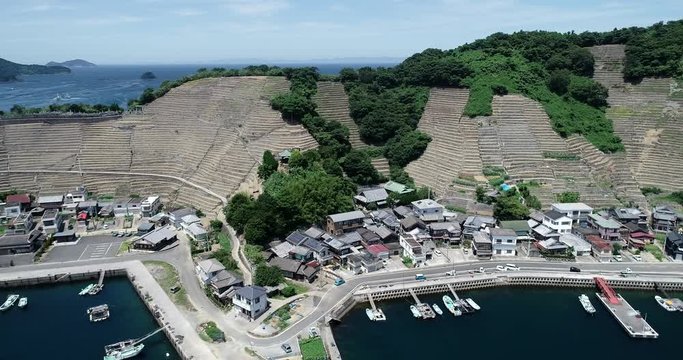 遊子水荷浦の段畑（愛媛県宇和島市）