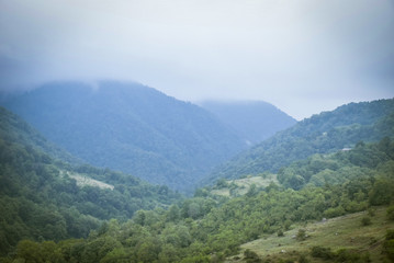 Naklejka premium my gallery 3