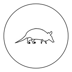 Armadillo icon black color in round circle