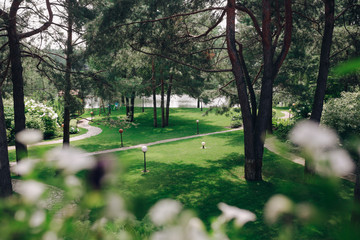 landscape design on lake shore