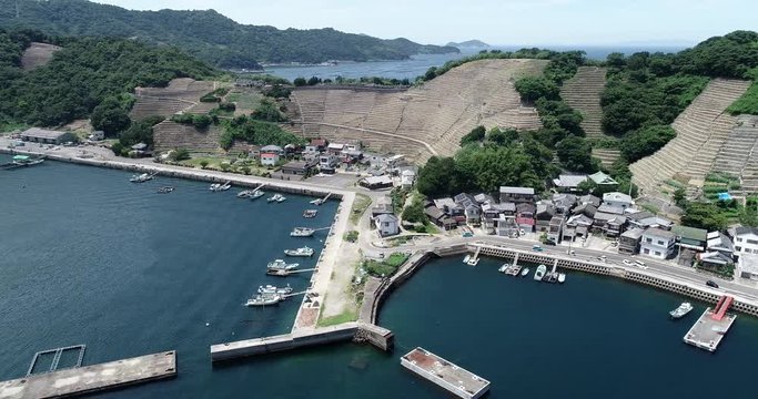 遊子水荷浦の段畑（愛媛県宇和島市）