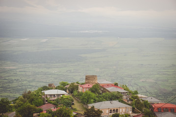 Obraz premium my gallery