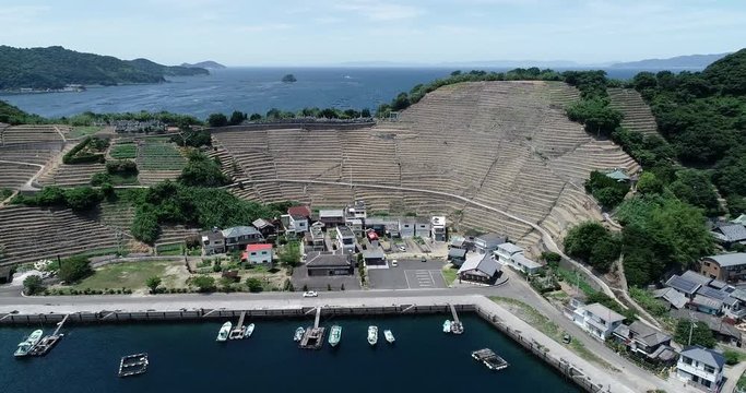 遊子水荷浦の段畑（愛媛県宇和島市）