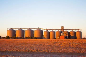 Grain storage silos in early morning light