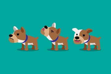Set of vector cartoon character cute bulldog poses for design.