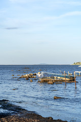 abandoned boat in blue