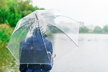 A woman in a blue cloak is turned with her back under a transparent umbrella in the autumn near the...