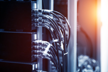 network cables connected in network switches