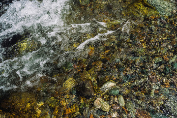 Varicolored detailed texture of stony bottom of transparent brook close up. Clean water in mountain creek. Colorful background of smooth stones in river stream with copy space.