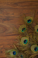 Fototapeta premium peacock feathers background