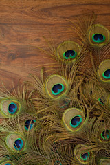 Fototapeta premium peacock feathers background