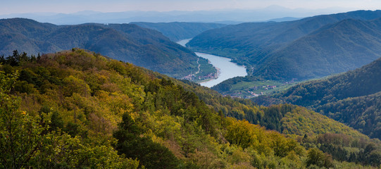Wachaupanorama Buschandlwand