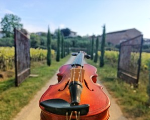 violino questa è la via