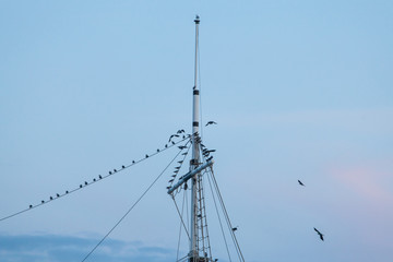 Silhouette of a ferry in the rays of the setting sun with clouds. Koh Phangan Thailand