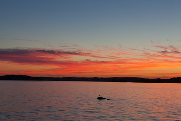 Calm sunset and clouds over lake in finland