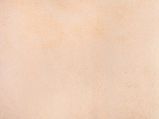 back side of unpainted vegetable-tanned leather