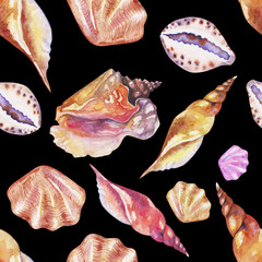 Shells on the bottom of the sea. pattern, watercolor - 221963898