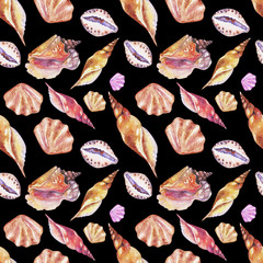 Shells on the bottom of the sea. pattern, watercolor - 221964018