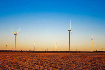 Wind turbines in late afternoon light