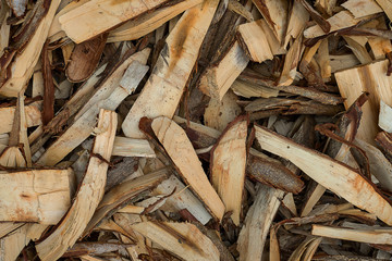 Wood chips for charcoal