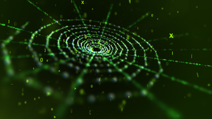 Khaki Spider Net in Black Cyberspace